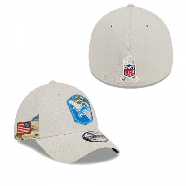 Men's Detroit Lions Stone 2023 NFL Salute To Servi...